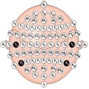 Fig. 3.3: 10-20 system modified by American EEG society [34].