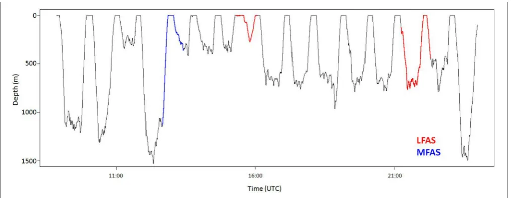 FIGURE 4 | Full dive record of sperm whale sw09_160a. Record showtypical sperm whale dive behavior (Teloni et al., 2008) with deep divesfollowed by a surface period