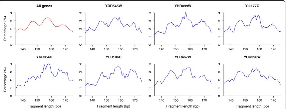 Fig. 6 Nucleosome spacing and linker lengths are “quantized” even at the gene level. Length distribution of the long DNA fragments (135–175 bp) resulting from H3Q85C cleavages