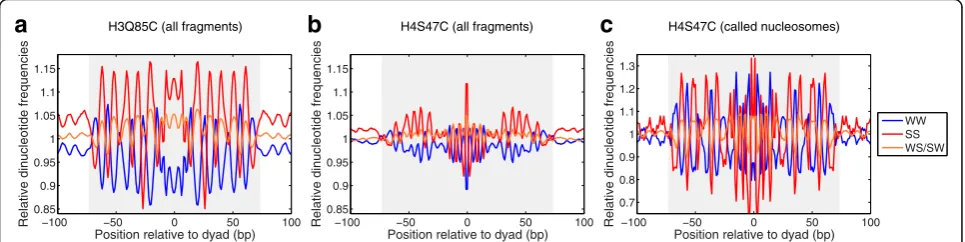 Fig. 2 H3Q85C cleavages map rotational positions genome-wide. Nucleosome dyad positions based on raw H3Q85C (a) and H4S47C (b) cleavagedata were aligned and dinucleotide frequencies were mapped at each base pair position