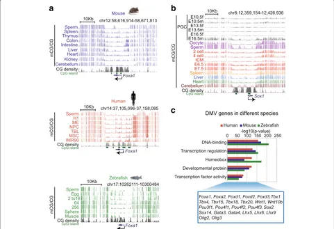 Fig. 1 A global survey of DNA methylation valleys (DMVs) in various vertebrates.of DMV genes in different vertebrates (human, mouse, and zebrafish)