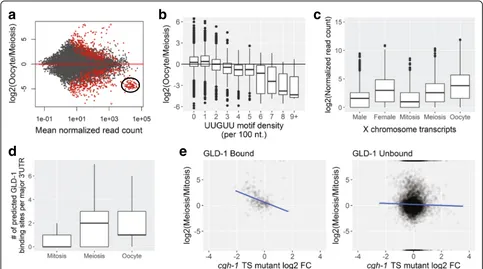 Fig. 2 Gene expression dynamics in the germline.isoforms of genes with significantly higher abundance in meiosis and oocytes relative to mitosis contain a greater number of predictedGLD-1 binding motifs.of GLD-1 targets in atargets (left), but not other tr