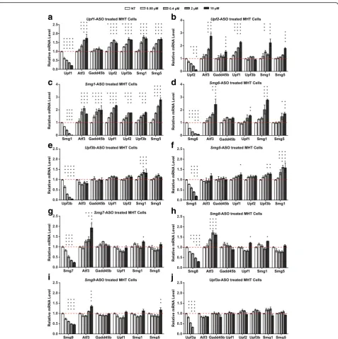 Fig. 2 Nonsense-mediated degradation of endogenous NMD substrates is inhibited by ASOs targeting NMD factors
