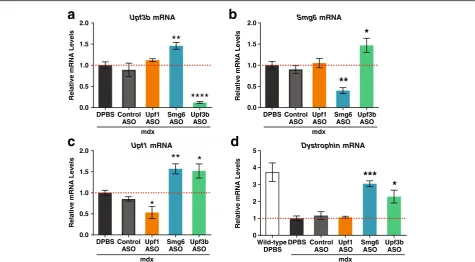 Fig. 4 Dystrophin PTC-containing mRNA is stabilized in mdx mice treated withdusing a one-way ANOVA and Dunnett0.05; **week) for five weeks