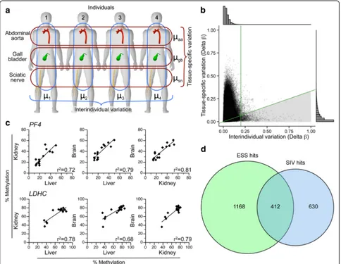 Fig. 3 Epigenetically supersimilar (ESS) probes are enriched for systemic interindividual variation (SIV)