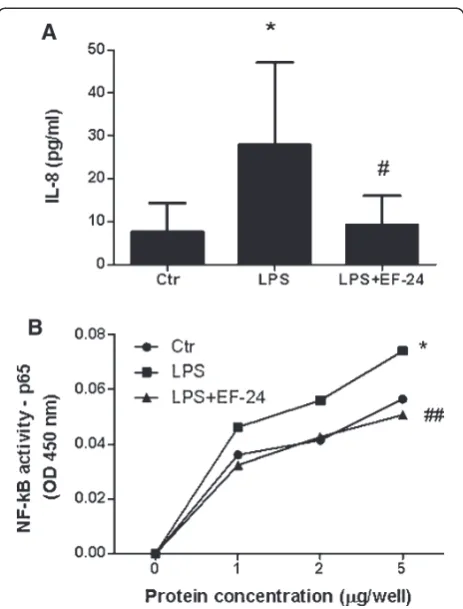 Figure 4 Polymorphonuclear granulocytes are activated bybinding activity in the nuclear extracts