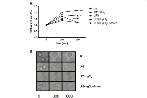 Figure 5 Time-course and Hg2+ inhibition of osmotic swelling of polymorphonuclear granulocytes