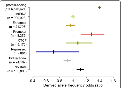 Fig. 4 Mature eRNAs do not show signatures of selection within thehuman population. Odds ratios of frequencies within the deCODEpopulation [49] for rare (<1.5%) and common (>5%) derived allelescompared between exonic and intronic sequences for transcriptso