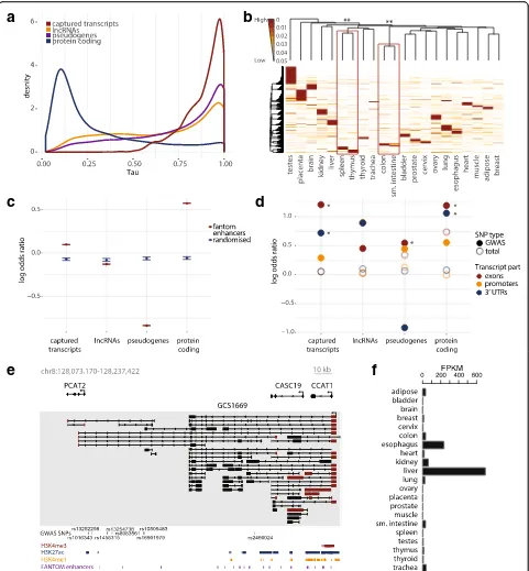Fig. 3 Functional properties of captured transcripts.byspecificity from low ( a Comparison of tissue-specific expression of captured transcripts to lncRNAs, pseudogenes, and protein-coding genes (Illumina Body Map), as measured by Tau tissue specificity in