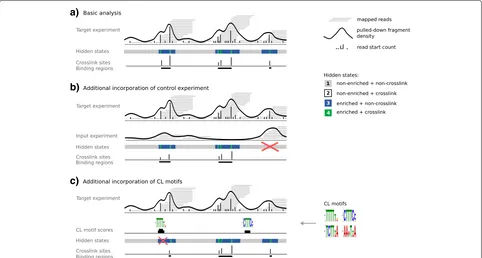 Fig. 1 Overview of the PureCLIP approach. a PureCLIP starts with mapped reads from a target iCLIP/eCLIP experiment and derives two signals: thepulled-down fragment density and individual read start counts