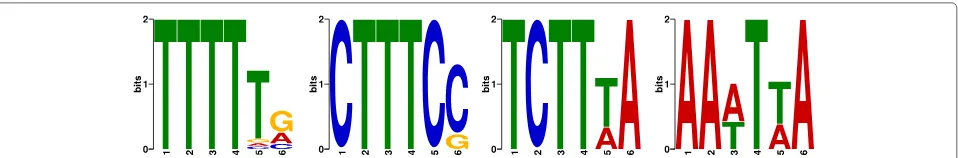 Fig. 4 CL motif analysis of PUM2 eCLIP input data. Logo representation of the four top scoring motifs among the first 5000 PureCLIP crosslink sitescalled on the input dataset