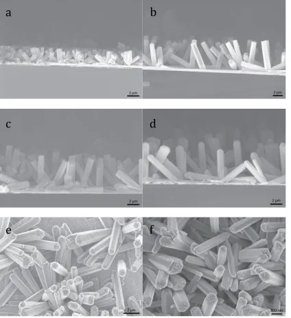 Figure 
  2.7: 
  Time 
  dependant 
  study 
  of 
  nanowires 
  on 
  plasma 
  cleaned 
  FTO 
  grown 
  from 
  