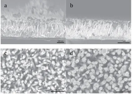 Figure 
  2.8: 
  Time 
  dependant 
  study 
  of 
  nanowires 
  on 
  a 
  thin 
  film 
  of 
  ZnO 
  on 
  FTO 
  grown 
  
