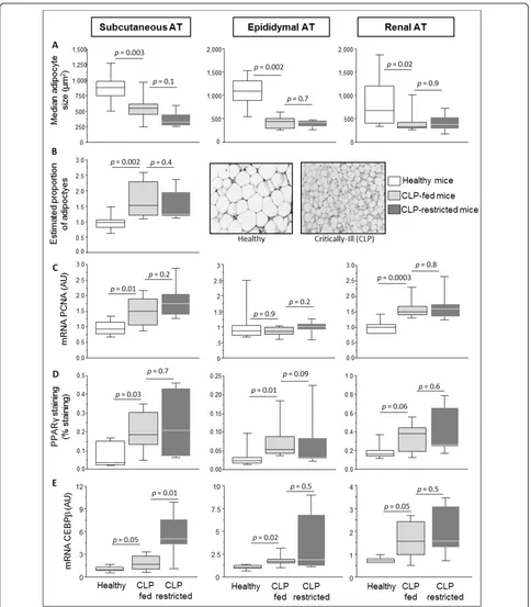 Figure 3 Adipogenic markers in subcutaneous and visceral adipose tissue of septic miceexpression analyses, the number of animals are healthy controls (