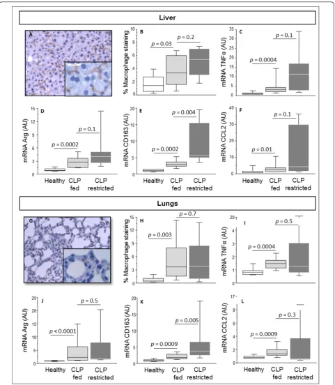 Figure 5 Macrophage accumulation in the liver and lungs of septic mice1 (present median and IQR; whiskers represent the 10are critically ill mice allocated to the total parenteral nutrition (TPN) protocol (cecal ligation and puncture (CLP)-fed) (boxes are 