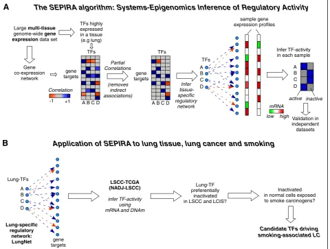 Fig. 1 The SEPIRA algorithm and application to smoking and lung cancer. a The first step involves construction and validation of a tissue-specificregulatory network using the SEPIRA algorithm