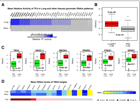 Fig. 3 Integration of LungNet with promoter DNAm patterns.sum tests. a Color bars indicate the mean relative TF activity for the 38 lung-specific TFs asestimated in the Illumina 450 k DNAm dataset for lung tissue and all other tissues combined