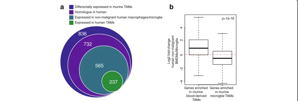 Fig. 2 Analysis of published data identifies markers of ontogeny.derived and microglial TAMs in mouse (outer circle); (2) their homologues; (3) genes expressed (mean CPM > 1) in human BMDM/microglia fromnon-malignant tissue; and (4) TAMs from human gliomas