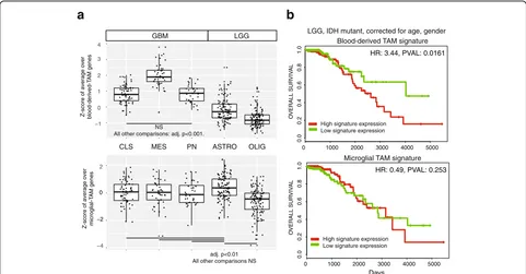 Fig. 5 Infiltration of blood-derived TAMs varies by glioma molecular subtype and correlates with inferior survival.blood-derived ( a Z-scores of averages overtop) and microglial (bottom)-TAM signature genes, compared across glioma subtypes (n = 371 cases, 