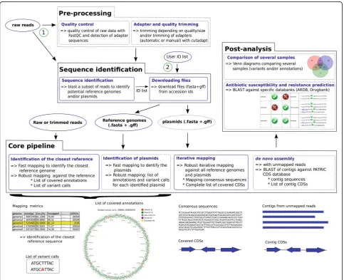 Fig. 1 The MICRA pipeline.the constitutive modules. Ovals represent the input files. Black boxes represent the four main parts of the MICRA pipeline and blue boxes show Dashed lines are used for optional steps