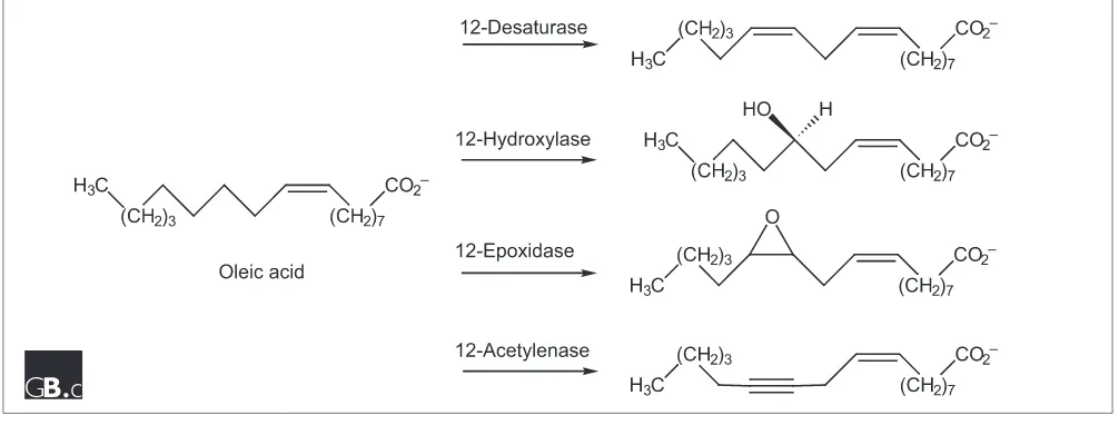 Figure 1Different oxidation reactions from proteins of similar sequence: reactions catalyzed by members of the oleic-acid-oxidizing‘family’.