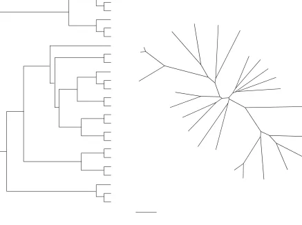 Figure 3Classification of genomes by co-occurrence in the COGs. (a) A cluster dendrogram