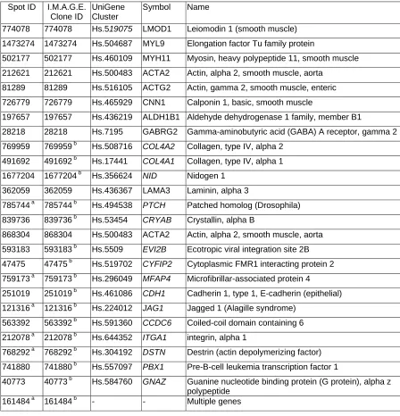 Table 1 List of genes in the cluster of 26 genes that defined the leiomyosarcoma subgrouping 