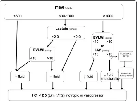 Figure 1 Resuscitation decision treefor the adjustment of fluid and catecholamine therapy according toa permissive hypovolemia protocol with lower preload targets and