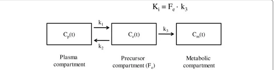 Figure 1 Sokoloff model fora substrate pool for hexokinase (precursor compartment,Fconcentration of 18F-fluorodeoxyglucose tracer kinetics [13]