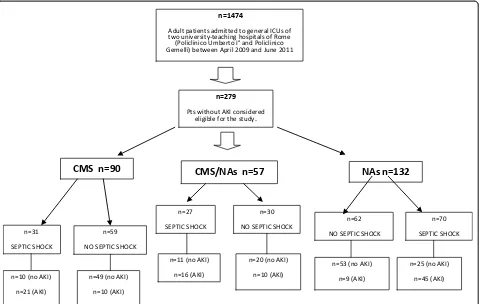 Figure 1 Study design. AKI, acute kidney injury (defined according to RIFLE criteria); CMS, colistin methanesulfonate sodium; NAs, nephrotoxicantibiotics (aminoglycosides, glycopeptides); Pts, patients.