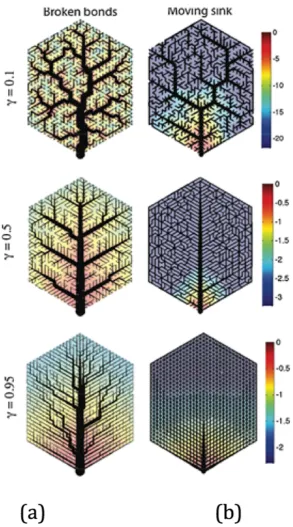 Figure 4. to pressure drop and channel geometry. within venation networkIllustrates the patterning mechanism of two vascular closed looped networks in connection Fluidic flow will vary in changes in cross sectional channel section 25.
