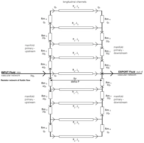 Figure 5. Fluidic Resistor Network. 