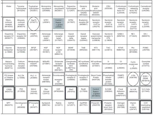 Figure 4Schematic representation of rat candidate genes on a nylon filter. Squares with names and accession numbers represent theenclosed in a thick black square represent differentially expressed genes in Nb2 cells; the boxes enclosed in a thin blacksquar
