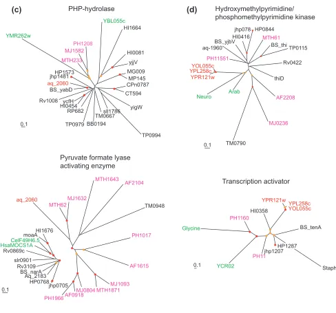 Figure 2 (continued)