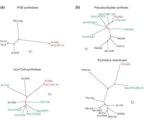 Figure 2 (and following page)Examples of phylogenetic trees supporting the contribution of interkingdom horizontal gene transfer to the emergence ofactivator