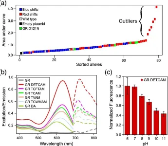 Fig. 8.  Fluorescent properties of GR variants measured in live E. coli. (a) The AUC was computed from the excitation spectra of 70 unique GR, ranked-ordered, and color-coded according to spectral shift [technical replicates of GR(D121N), a red-shifted var