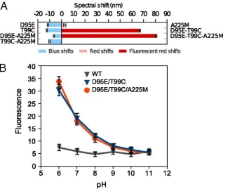 Fig. 1. Measuring the effects of mutations on Arch absorption maximum (λmax) and fluorescence