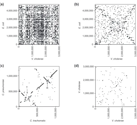 Figure 2Whole-genome proteome alignments. Plots show the chromosome locations of pairs of predicted proteins that havecomplete genome sequence