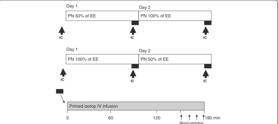 Figure 1 A schematic illustration of the study protocol. IC, indirect calorimetry; EE, energy expenditure; PN, parenteral nutrition;IV, intravenous.