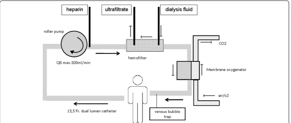 Figure 1 Scheme of the renal circuit with implementation of a hollow-filter gas exchanger.