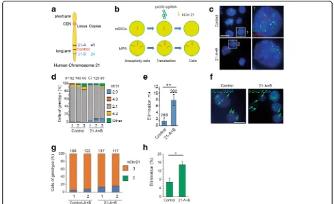 Fig. 8 Elimination of human chromosome 21 in mouse aneuploid cells and DS iPS cells by CRISPR/Cas9-mediated gene editing