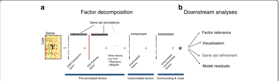 Fig. 1 Factorial single-cell latent variable model. a f-scLVM is based on a variant of factor analysis, decomposing the matrix of single-cell geneexpression profiles into factors and weights
