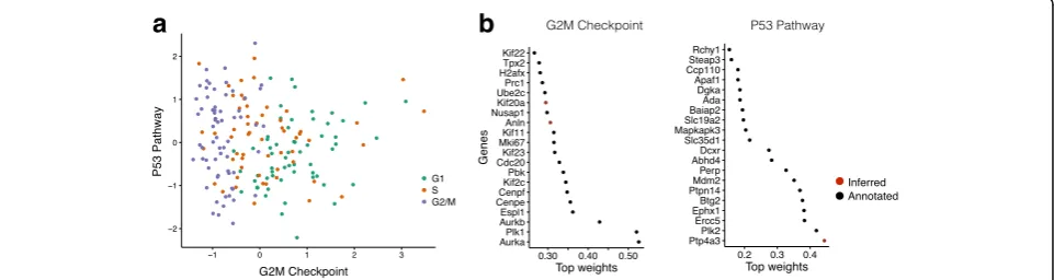 Fig. 2 Model validation using cycling mouse embryonic stem cells. Application of f-scLVM to 182 mESCs, experimentally staged for the cell cycle.a Bivariate visualization of the cells using the G2M checkpoint and P53 pathway factors