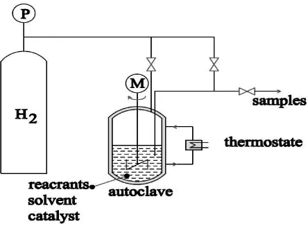 Figure 1: Experimental set-up for the liquid hydrogenation of dimethyl-nitrobenzene 