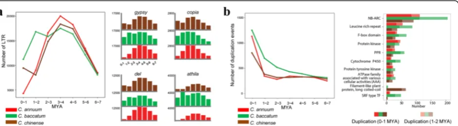 Fig. 2 Evolutionary history of LTR-Rs and duplications of protein-coding genes in the pepper genomes