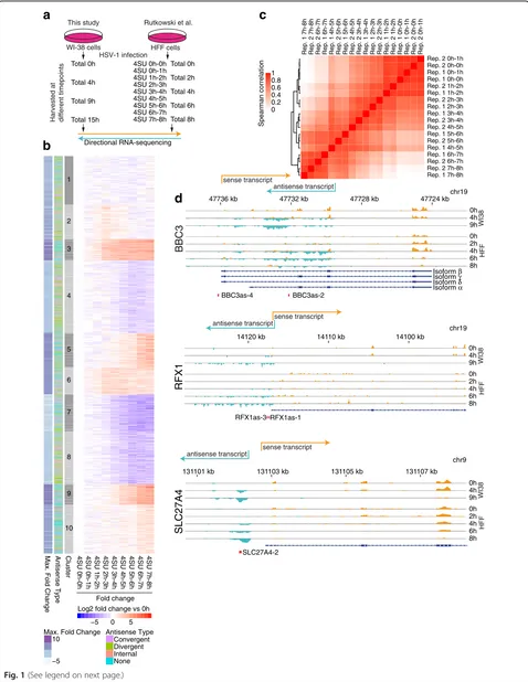 Fig. 1 (See legend on next page.)