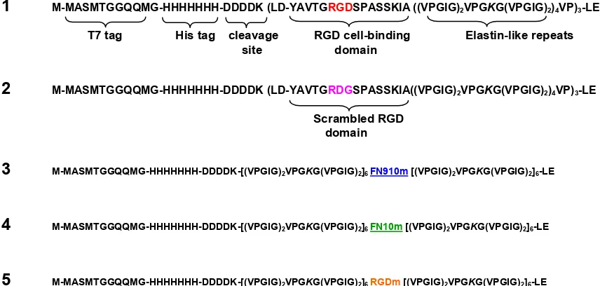 Figure 1.1 Amino acid sequences of aECM proteins. Each aECM protein contained a T7 tag, a 