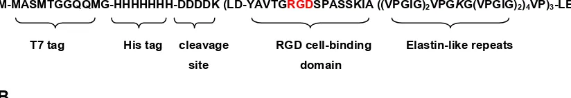 Figure A1. Amino acid sequences of aECM proteins containing (A) RGD and (B) RDG cell-