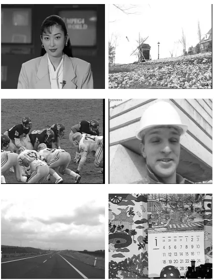 Figure 4: A frame of each video sequence that was used in our evaluation process.