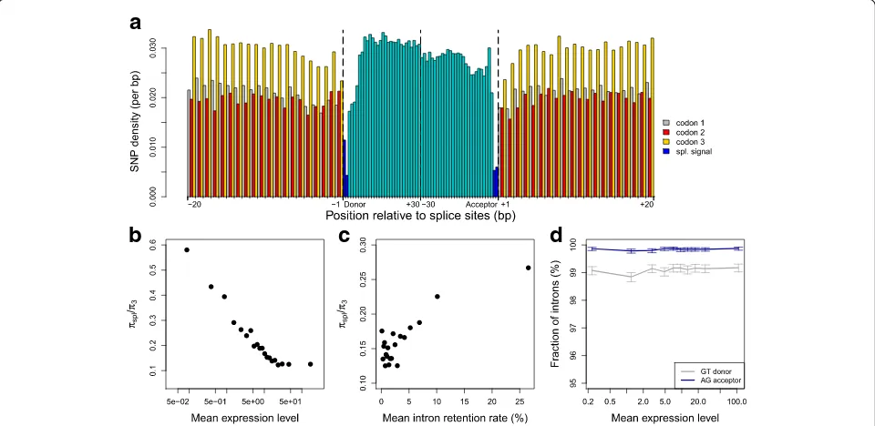 Fig. 6 Variation in selective constraints on splice signals in human genes.separately for the three codon positions ((first and last 30 bp of introns and 20 bp of flanking exons), over all introns located between coding exons (n = 170,015)